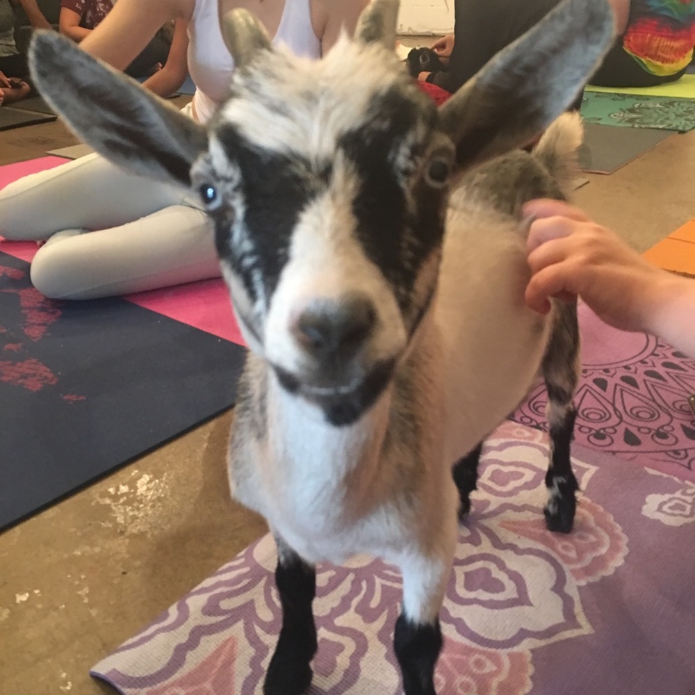 Meet your Posher, Jessica